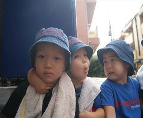 SONY DSC