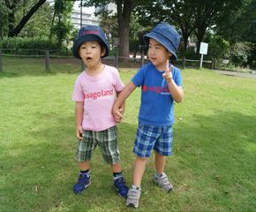 SONY DSC