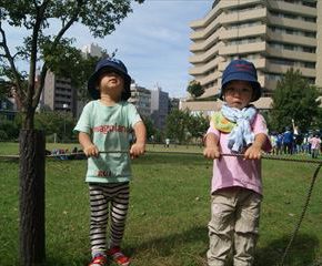 SONY DSC