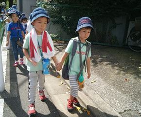 SONY DSC