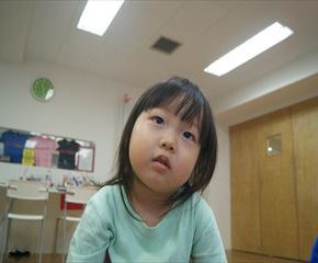 SONY DSC