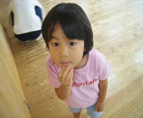 SONY DSC